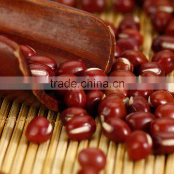 ormosia/red beans supplier