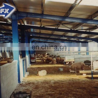 qingdao director chicken house plastic steel structure prefabricated metal barn steel warehouse for tools a workshop