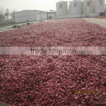 2012 new crop DRIED CHILI PODS