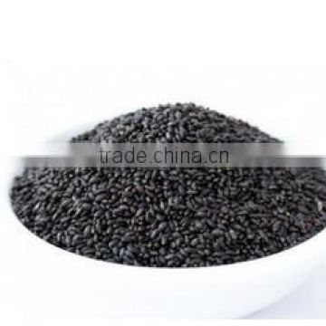High Quality Cheap Exquisite Basil Seed (99% clean)