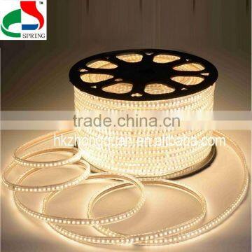 24V Super brightness waterproof 5050 RGBW led strip 5Mroll