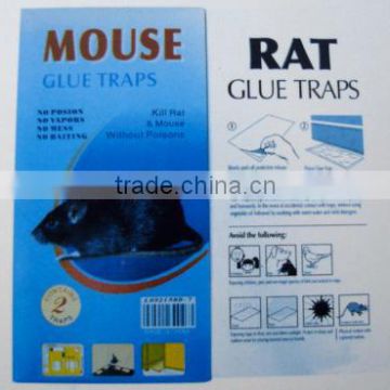 mouse blue traps
