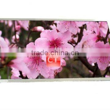 China best brand new LP11.6 LCD LP116WH2 (TL)(C1)