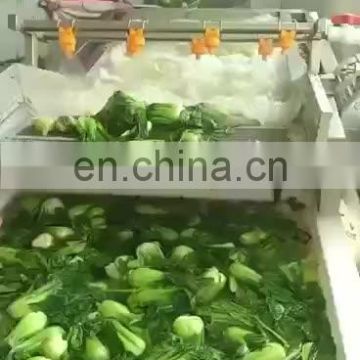 Industrial Air Bubble Ozone Fruit Vegetable Washing Machine Brush Cleaning Machine