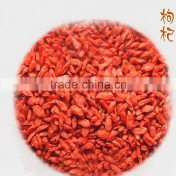 NEW NINGXIA GOJI BERRY