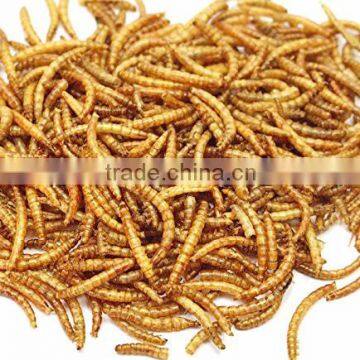 Pet food dried mealworms high quality chicken food