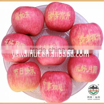 Bulk Fresh Organic Apples with lower price