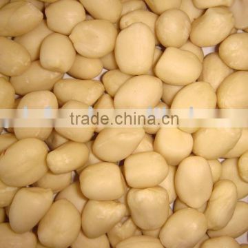 Chinese Blanced Peanut kernels
