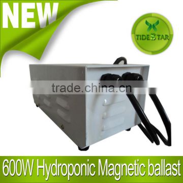 600W Grow light hid HPS Magnetic ballast for hydroponics plant growth