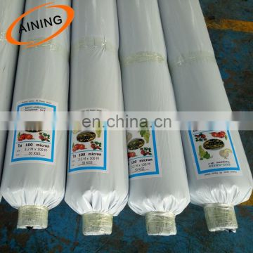 20 Micron Agricultural Plastic Cover Mulch Film with Long Life