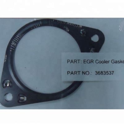3683537 EGR Cooler Gasket for Cummin s ISX Engine