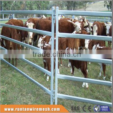 Australia Standard hot dipped galvanized cattle panels In Farm (Factory Trade Assurance)