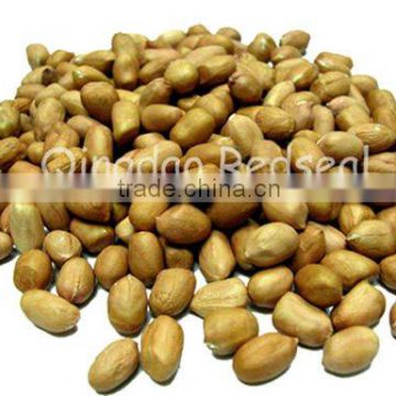 new crop of Peanut kernels(Spanish type)