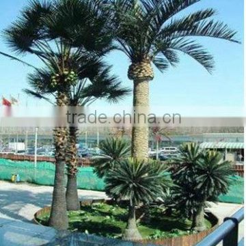 manmade tree/camouflaged trees/bionic trees for decoration/palm tree