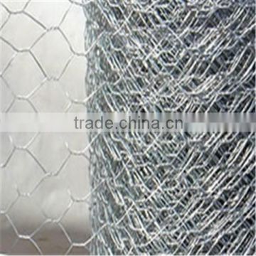 3/4" Hexagonal wire mesh (manufacture)