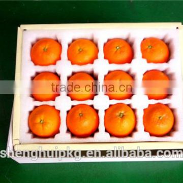 100% Factory customized molded EPE foam packing foam inlay for fruit packaging