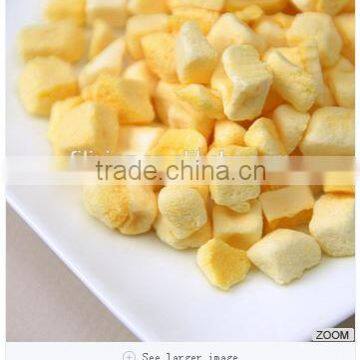 Low price OEM freeze dried mango no add sugar