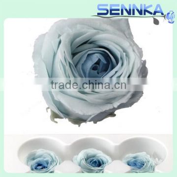 2016 Wholesale real natural preserved roses birthday gift preserved flower