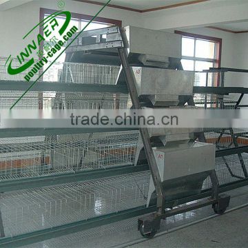 h type layer rooster chicke cage