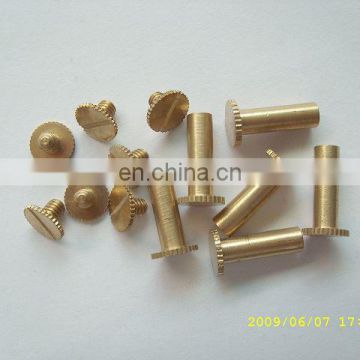 China supplier wholesale good quality metal menu screws, decorative metal screws with screw caps
