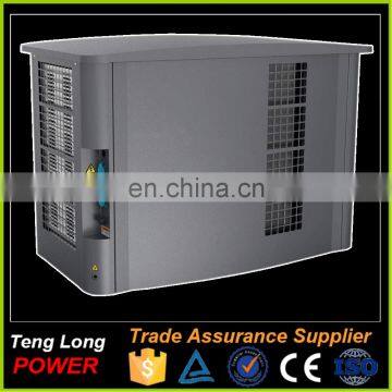 Chinese Brand Two cylinder Gas Generator High Quality High Performance