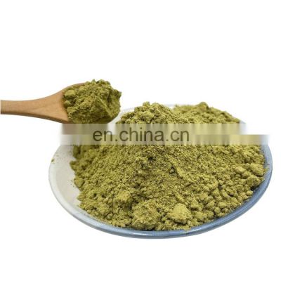 Natural Ginkgo Biloba Leaf Extract Powder