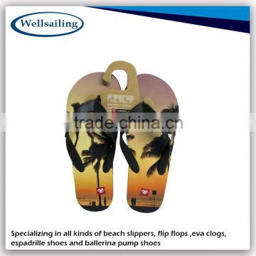 China Customized Hot Fashion thick sole flip flop,flip flop slipper