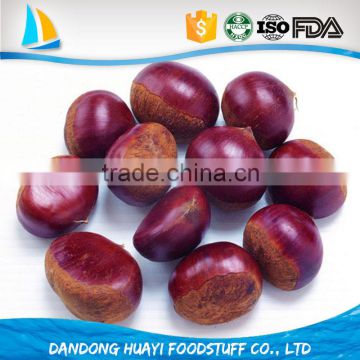 Bulk High Quality Fresh Green Dandong Chestnuts for Sale