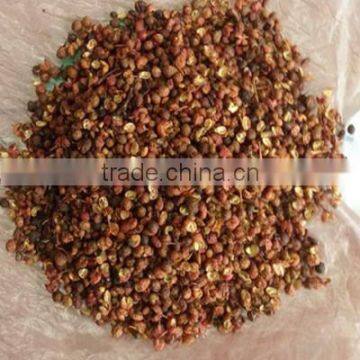 Factory price Chinese red pepper