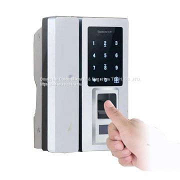 Smart Electronic Outdoor Double Sided Fingerprint Door Lock With Keypad