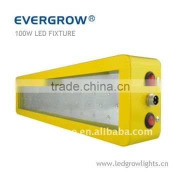 100W yellow led chips high power led grow light panel EG-50*3W-GPY-SXB