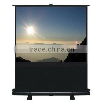 Hot sell good price high quality floor up screens