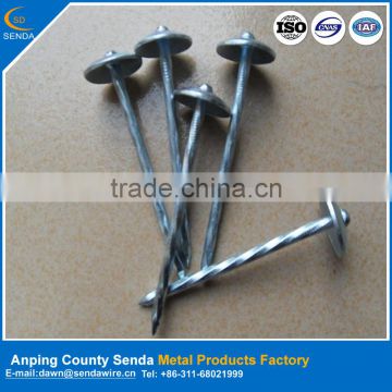 polished umbrella head iron nails/ roofing nails