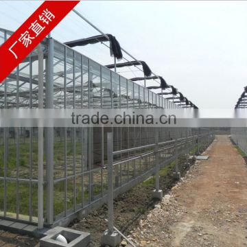 Good quanlity Multi-Span agricultural greenhouse