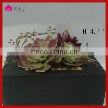 Aeonium artificial succulent plants wholesale