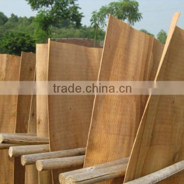 Popular Eucalyptus core veneer from Vietnam