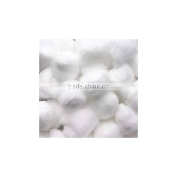 Shankar 6 Raw Cotton From India