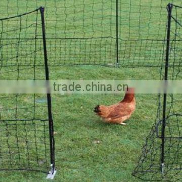 PE Chicken net.Aviary Netting