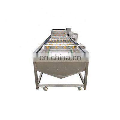 Discount Citrus Washing Process Machine Citrus Washer Machine Citrus Cleaning Machine