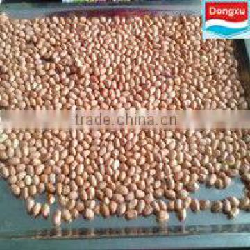 bulk peanut kernels 40/50