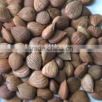 Almond kernel