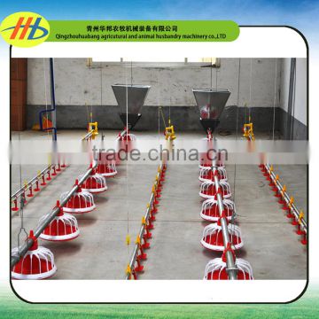 poultry eqiupment broiler automatic pan feeding system and nipple drinking system for poultry farm house