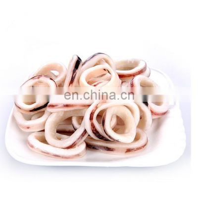 frozen black squid ring indian ocean squid ring wholesale price skin on