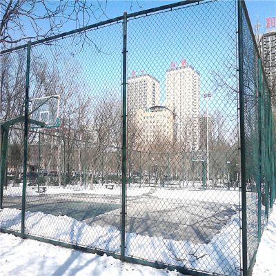 Garden/House/Park PVC Coated Galvanized Sport Football Ground Fence