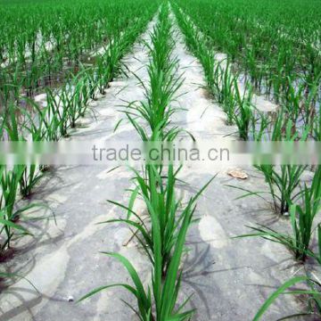 Multi-Functional Agricultural Mulch Film
