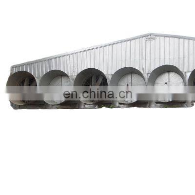 Qingdao prefab steel structure cow poultry shed barns building for chicken stable house sale