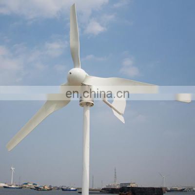 Customized Acceptable Domestic Wind Turbine 600w