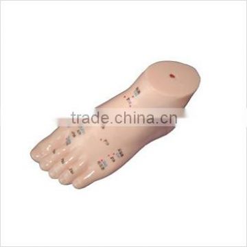 Foot model for acupuncture with high quality and lower price