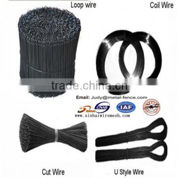 electro galvanized iron wire/binding wire /Soft wire