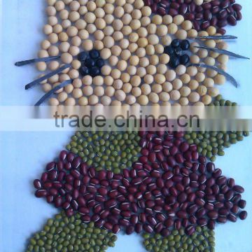 Soybean/soya bean, soybean seeds, soya bean seeds( 2011 crop, heilongjiang origin)